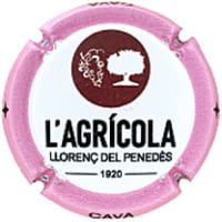 COOP. AGRICOLA LLORENÇ PENEDES X. 231161