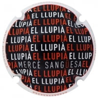 CAL LLUPIA DE PLA DE MOREI X. 191899