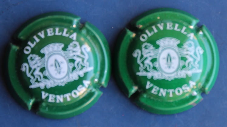 OLIVELLA VENTOSA X. 00146 A-B