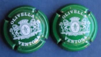 OLIVELLA VENTOSA X. 00146 A-B