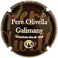 PERE OLIVELLA GALIMANY X. 241380