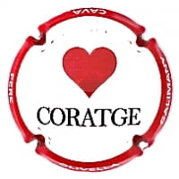 PERE OLIVELLA GALIMANY X. 219119