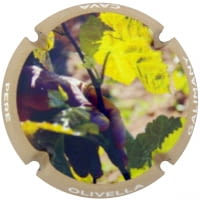 PERE OLIVELLA GALIMANY X. 229031