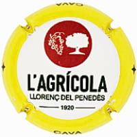 COOP. AGRICOLA LLORENÇ DEL PENEDES X. 235161