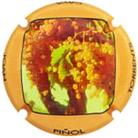 JOAN PIÑOL TORRENTS X. 238927