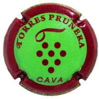TORRES PRUNERA X. 231155