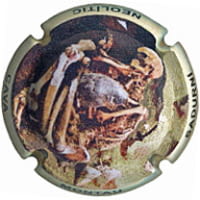 MONTAU DE SADURNI X. 204199