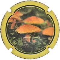 BALANDRAU X-168236