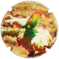 PERE OLIVELLA GALIMANY X. 239234