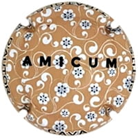 AMICUM X. 226438