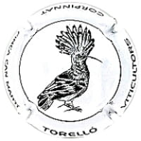 TORELLO X. 245182