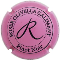 PERE OLIVELLA GALIMANY X. 230623 ROSAT