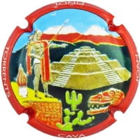 JOAN PIÑOL TORRENTS X. 211396