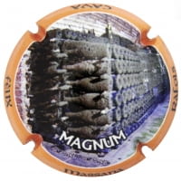 FELIX MASSANA RAFOLS X. 213131 MAGNUM