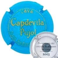 CAPDEVILA PUJOL V. ESPECIAL X. 05879