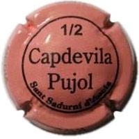 CAPDEVILA PUJOL V. 11237 X. 29552 (1/2)