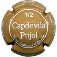 CAPDEVILA PUJOL V. 14334 (1/2) X. 46565 MARRO CLAR