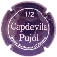 CAPDEVILA PUJOL V. 16140 X. 51408 (1/2) BLAU MOLT FOSC