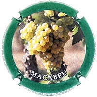 COOP. ALBINYANA X. 209363 (MACABEU)