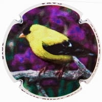 MARIA OLIVER PORTI X. 166203