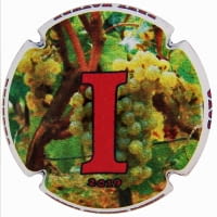 MARIA OLIVER PORTI X. 130656