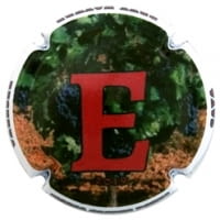 MARIA OLIVER PORTI X. 170786