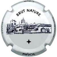 JOAN PIÑOL TORRENTS X. 234274