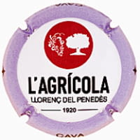 COOP. AGRICOLA LLORENÇ DEL PENEDES X. 234421