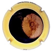 MAS BERTRAN X. 248258