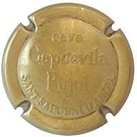 CAPDEVILA PUJOL X. 192972 (FORA DE CATALEG)