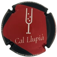 CAL LLUPIA DE PLA DE MOREI X. 251754