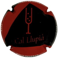 CAL LLUPIA DE PLA DE MOREI X. 251755