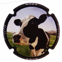 STILUS X. 156914