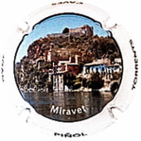 JOAN PIÑOL TORRENTS X. 245078