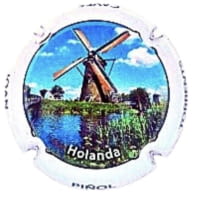 JOAN PIÑOL TORRENTS X. 248586