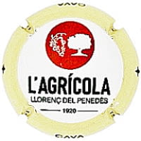 COOP. AGRICOLA LLORENÇ DEL PENEDES X. 243333