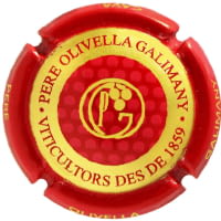 PERE OLIVELLA GALIMANY X. 248305