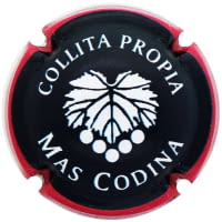 MAS CODINA X. 242847