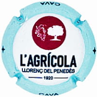 COOP. AGRICOLA LLORENÇ DEL PENEDES X. 244969