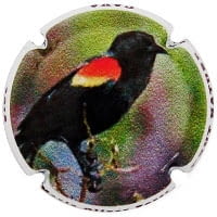 MARIA OLIVER PORTI X. 165971