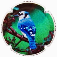 MARIA OLIVER PORTI X. 165972