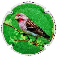 MARIA OLIVER PORTI X. 165973