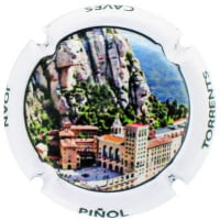 JOAN PIÑOL TORRENTS X. 242560