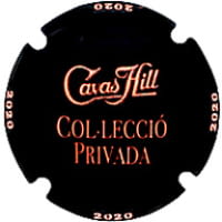CAVAS HILL X. 254726 (2020)
