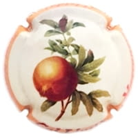 CAL LLUSIA X. 136132