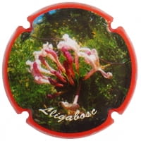 ISABEL VENTURA X. 153732 (LLIGABOSC)