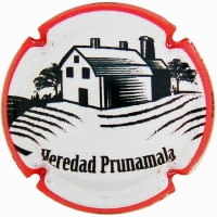 HEREDAD PRUNAMALA X. 214130
