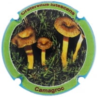 XIC D'ALFONS X. 207745