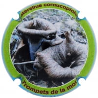 XIC D'ALFONS X. 208591