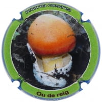 XIC D'ALFONS X. 209683